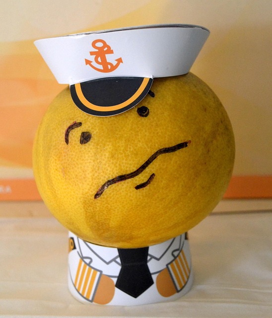 Ouderbegeleiding, gezinsonderzoek, hulp bij opvoeden en opgroeien